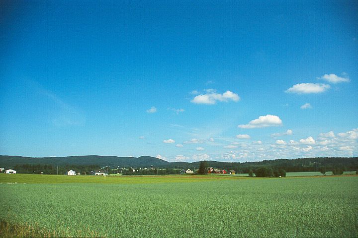 Blick über Felder bei Aursmoen auf den 364 m hohen Gåsebrennan