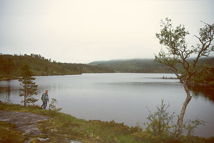NordlandBindalFuglstadvatnet14 - 59KB